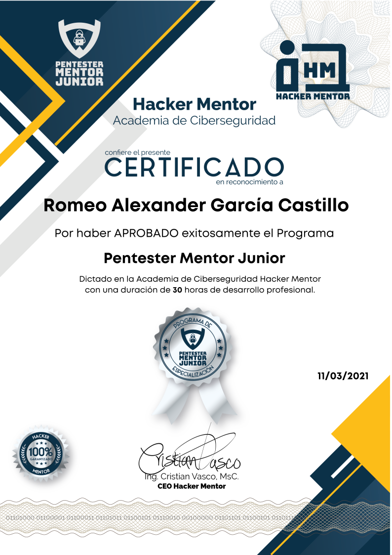 Pentester Mentor Junior 2021